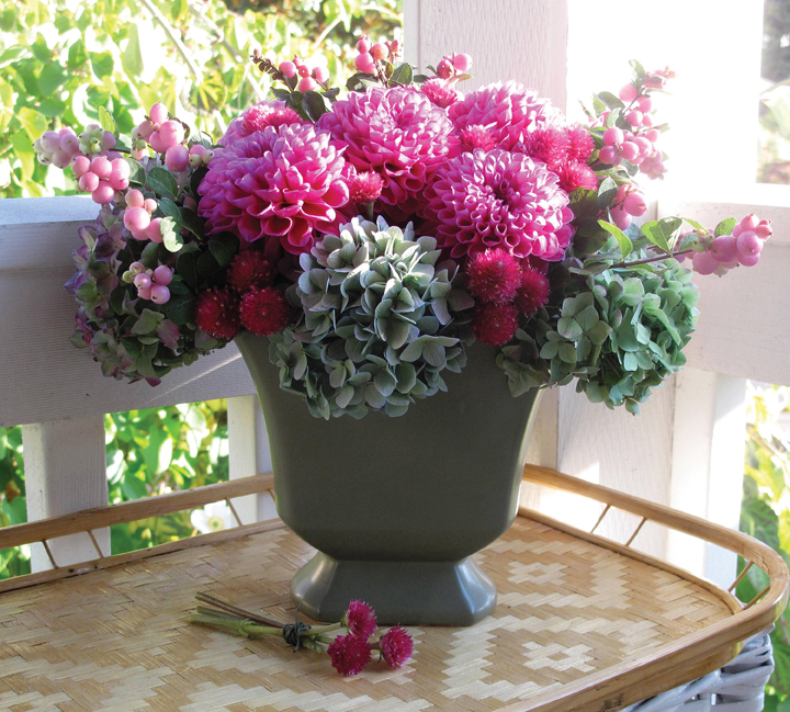 18 Best Flower Arrangement Plants for Fall and Winter