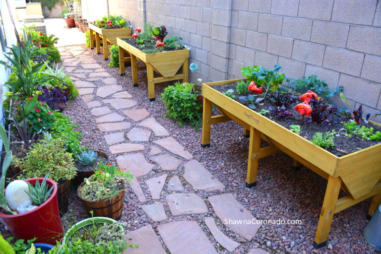 Grow Shade Vegetable Plants in an Elevated Garden Bed