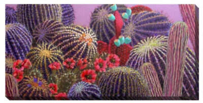 purple and red barrel cactus outdoor art