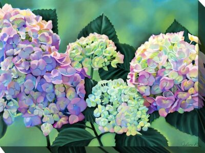 Hydrangea-Garden-Art-80118