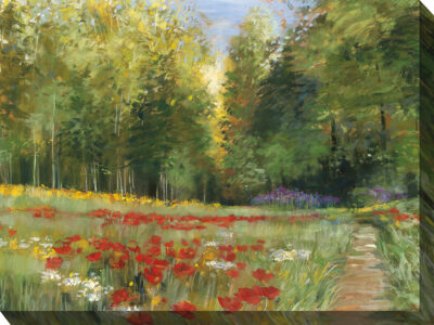 Poppy Meadow and Woodland Walk Art-87046