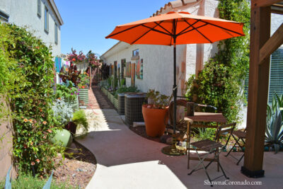 Patio-umbrella-to-shade-plants