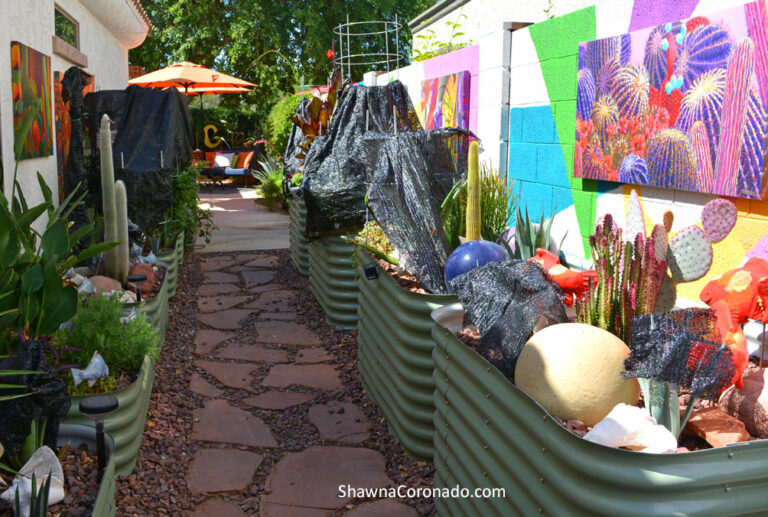 How to Protect Plants from Heat and Sun