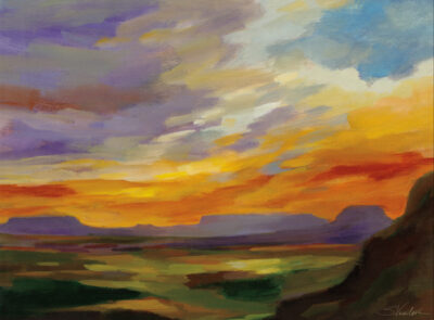 Sonoran Sunset Outdoor Art