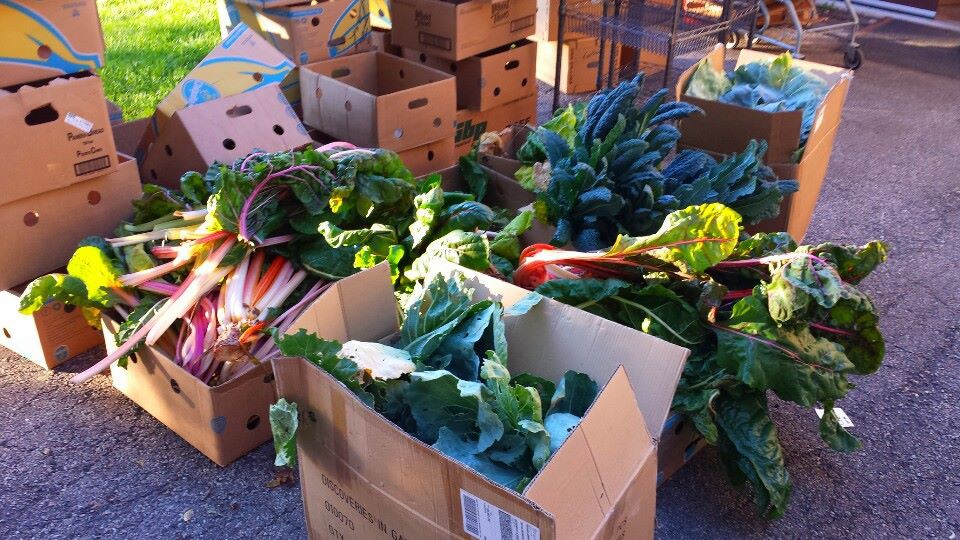 Donate Your Organic Garden Vegetable Harvest To a Food Pantry