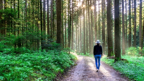 Walking in the woods is good for chronic inflammation