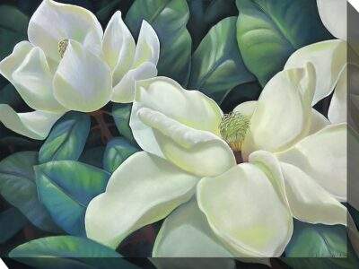 white magnolia canvas 80117